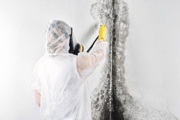 Best Carpet water damage restoration  in Meridian, MS